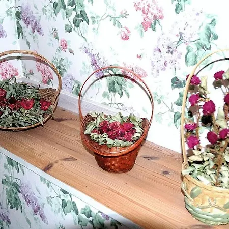 Rose-house 3* Hillerød
